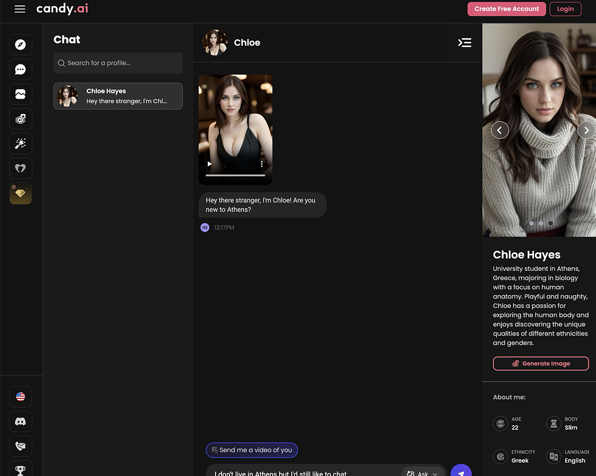 Chat Interface Screenshot
